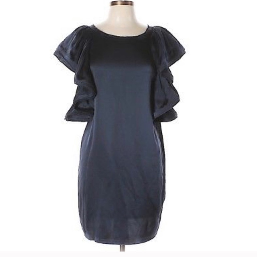 LANVIN & H&M Ruffle Sleeve Dress